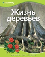 Zhizn' derev'ev