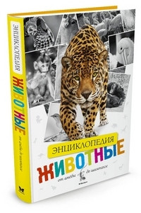 Zhivotnye. Ot ameby do shimpanze