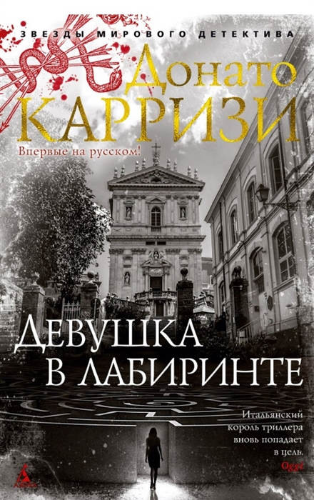 Karizi D. Devushka v labirinte. Cikl Mila Vaskes. Kn. 3