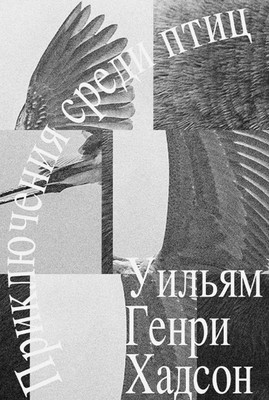Hudson W.H. Prikljuchenija sredi ptic