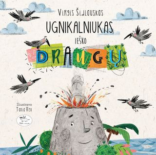 Šidlauskas V. Ugnikalniukas ieško draugų