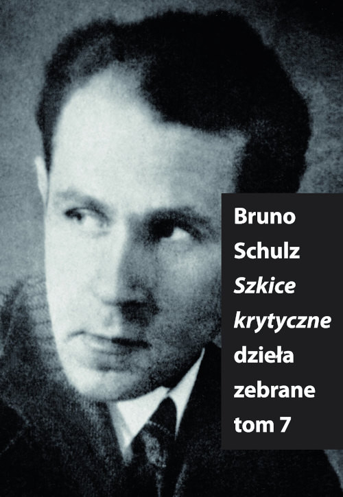 Schulz B. Szkice Krytyczne