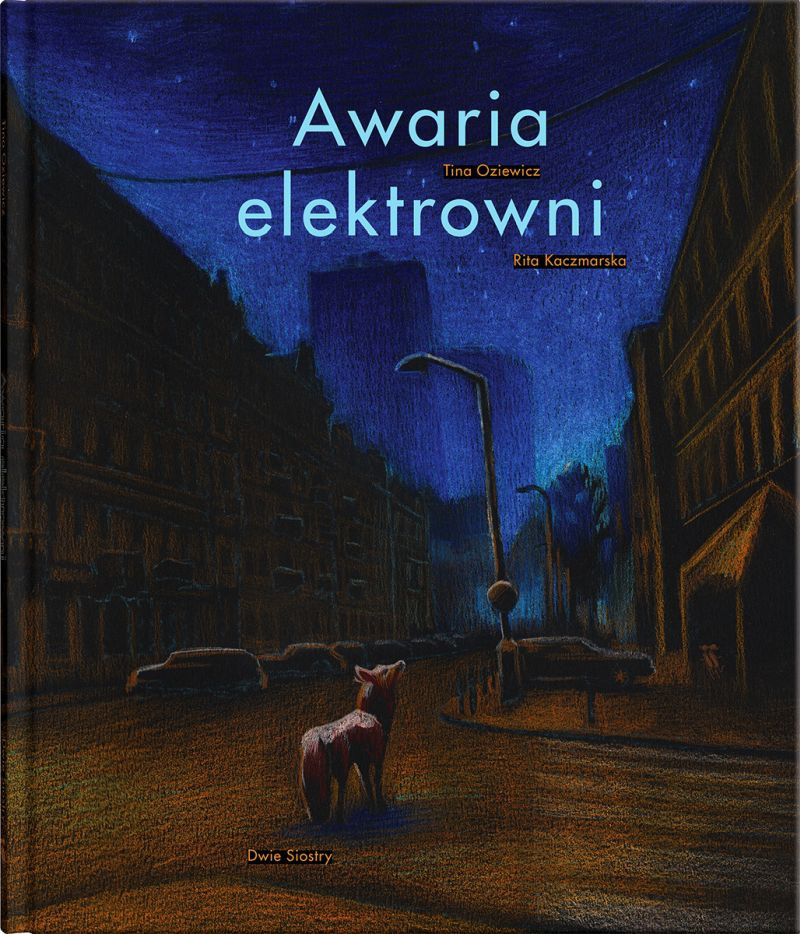 Oziewicz T., Kaczmarska R. Awaria elektrowni