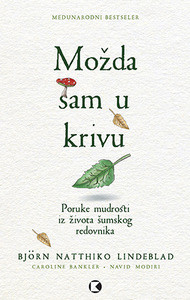 Natthiko Lindeblad B. Možda sam u krivu