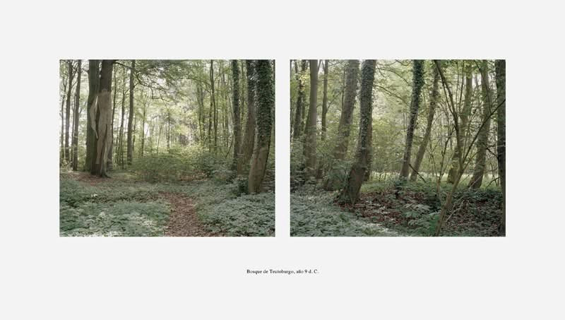 Фотовстреча№17. Сад расходящихся тропок